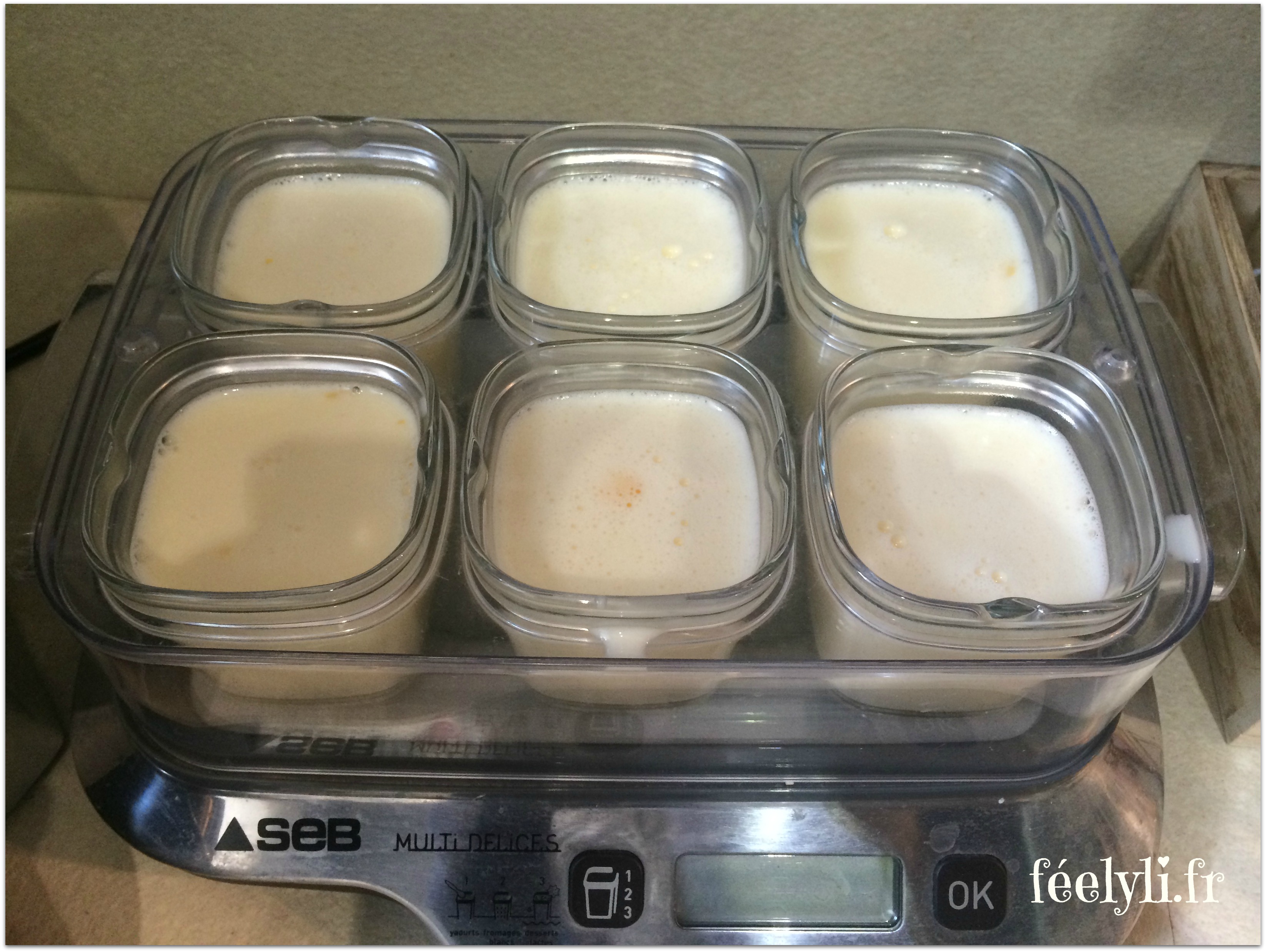 Crème aux oeufs aux Smarties à la Multidélices – féelyli