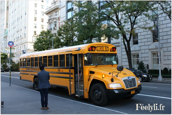bus scolaire new york
